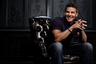 Download Wallpapers 3840x2400 David Boreanaz, Actor, Man, Chair ...