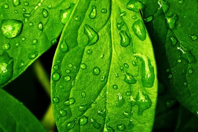 Special Iphone 6 High Resolution Wallpaper Backgrounds