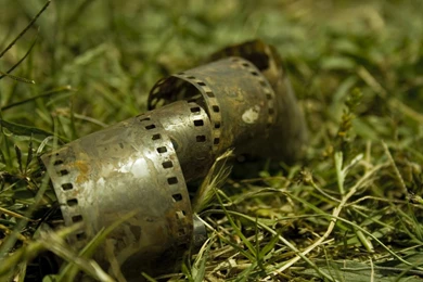 Film Grass Wallpapers   (