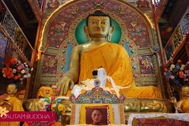 Wapin.co.in :: Gautam Budha Wallpapers Free Mobiles Downloads.