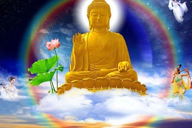 Buddha Wallpapers   Android Apps On Google Play