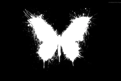 Butterfly Black Backgrounds   Wallpapers Cave