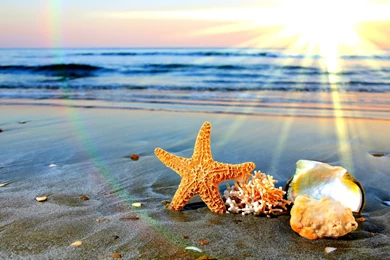 HD Happy Summertime Sand Wallpapers 1080p Full Size ...