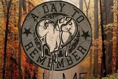 My Phone Wallpapers (: