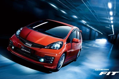 Any Fans Of Mugen Performance?