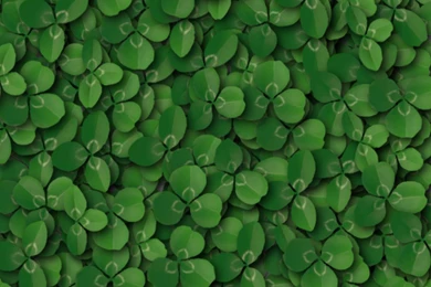 Field Of Shamrocks Desktop Images – St. Patrick's Day