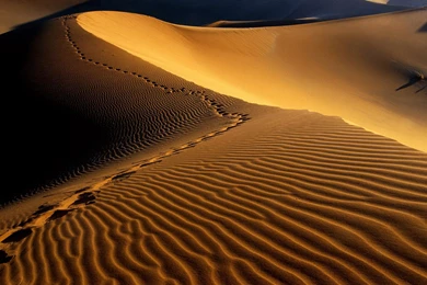 Desert Sand HD Wallpapers