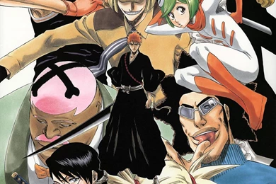 Wallpapers Exploration Rare: Bleach: Vaizard   Images