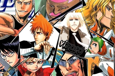 Wallpapers Manga > Wallpapers Bleach Vizard By Gaara59100   Hebus.com