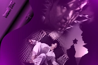 Prince   Prince Wallpapers (3577823)   Fanpop