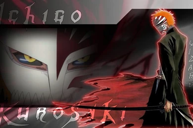 Vizard Ichigo Wallpapers   Wallpapers Cave