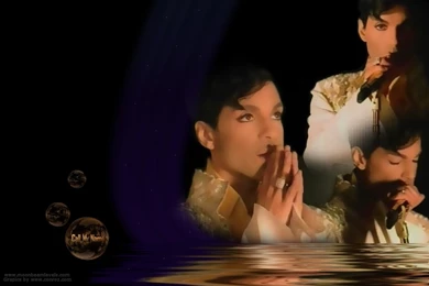 Prince   Prince Wallpapers (3577813)   Fanpop