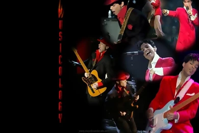 Prince   Prince Wallpapers (3577841)   Fanpop