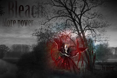 Wallpapers Bleach Ichigo VIZARD By Goten design On DeviantArt