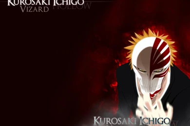 Bleach Hollow Ichigo Kurosaki Ichigo Vizard Wallpapers   (