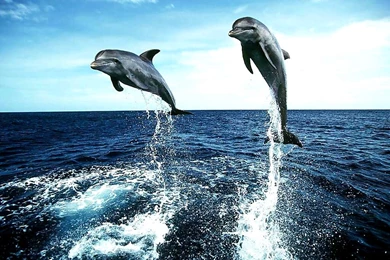 Beautiful Beach Hd Wallpapers (59)