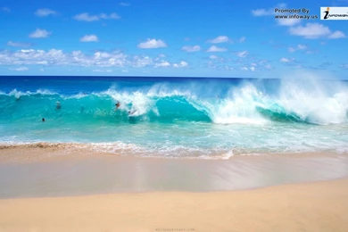 Beautiful Ocean Pictures