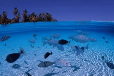 Free Scenery Wallpapers With High Resolution