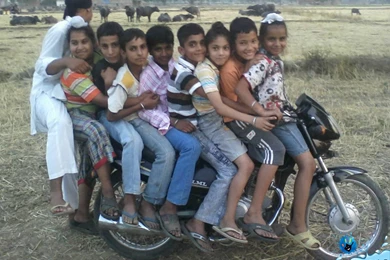 Funny Images Of India   Wallpapers HD Base