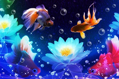Water Fish Wallpapers 05, HD Desktop Wallpapers