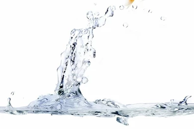 Water,fish Water Fish Water Drops 1200x1600 Wallpapers – Fish ...