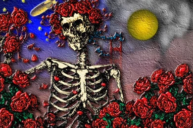 Grateful Dead Wallpapers   Wallpapers Cave