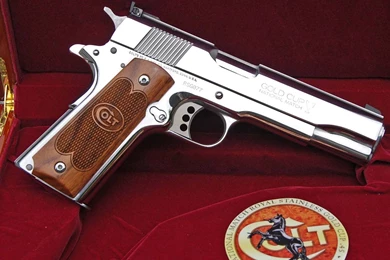 Download Pistols Guns Wallpapers 1407x1038