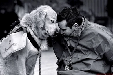 Nature Animals Dogs Men People Monochrome 1680x1050 Wallpapers ...