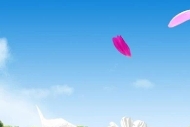 Iphone Ipad – Page 3 – Windows 10 Wallpapers