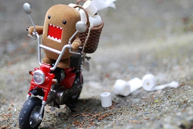 Wallpapers Lol Face Nature Fancy Grumpy Cat Zombie 1920x1080 ...