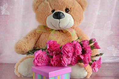 Cute Teddy Bear Live Wallpapers   Android Apps And Tests   AndroidPIT