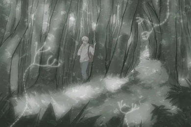 Mushishi Wallpapers