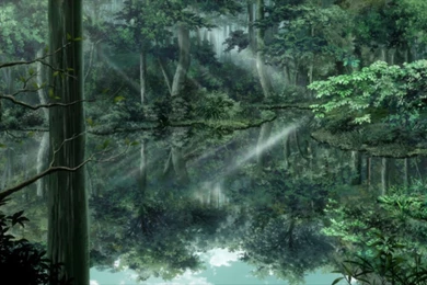 Your Computer Desktop