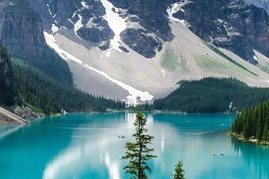 1440x2560 Nature Wallpapers