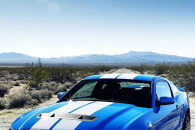 1440x2560   Samsung Wallpapers