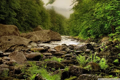 Download Nature Scenes 13 Wallpapers   Wallpapers Printed