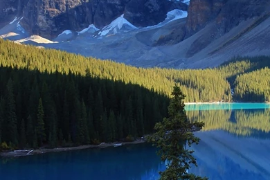 Full HD 1440x2560 Wallpapers Img 2