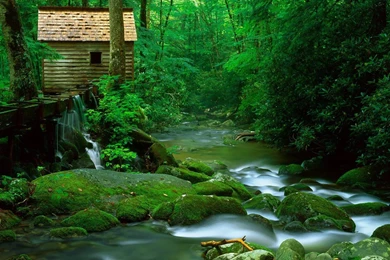 Images Of Nature Scenes   Widescreen HD Wallpapers