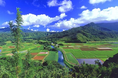 Hd Nature Scenes As Well As Nature Scene Wallpapers Hd Scene ...