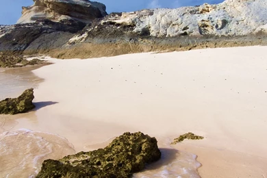 Full HD 1440x2560 Wallpapers