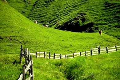 Hd finest wallpapers nature scenes.jpg