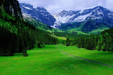 Nature Scenes   Wallpaper.