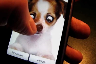 RawThemes Live Wallpapers