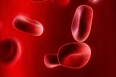 1080x1920 Red 3d Blood Cells Iphone 6s Plus Wallpapers HD