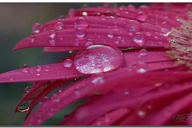 PC Wallpapers Free Download Wallpapers » WallDevil   Best Free HD ...