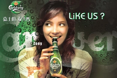 Carlsberg Fifa World Cup Wallaper Carlsberg Fifa World Cup Picture