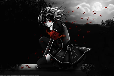 VK Girls Wallpapers   The Girls Of Vampire Knight Wallpapers ...