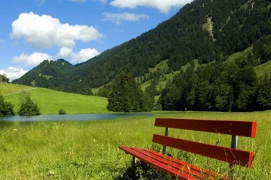 Nice Backgrounds Of Nature