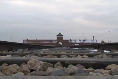 The Holocaust    Glue For Wallpaper?" Documentary Trailer (ENG ...