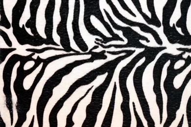 Zebra Print Wallpapers For Walls